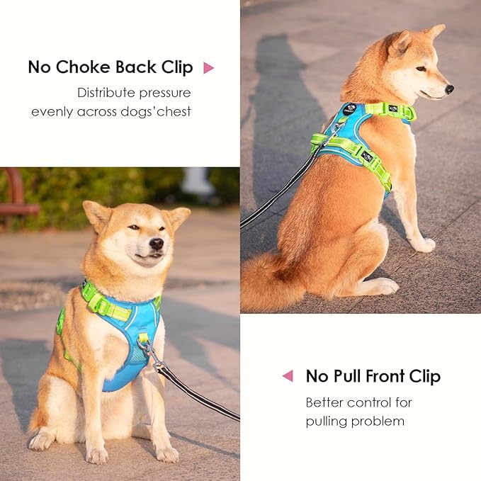 PHOEPET No Pull Dog Harness, Unique Colors Reflective Adjustable Dog Vest, with Soft Training Handle Metal Clips for Small Medium Large Dogs (Blue Base &amp; Green Straps,M)