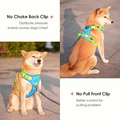 PHOEPET No Pull Dog Harness, Unique Colors Reflective Adjustable Dog Vest, with Soft Training Handle Metal Clips for Small Medium Large Dogs (Blue Base &amp; Green Straps,L)