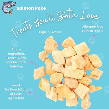 hotspot pets Freeze Dried Salmon Treats for Cats &amp; Dogs -Made in USA-1LB Resealable Big Bag -Single Ingredient, High Protein, All Natural Grain-Free- Perfect for Training, Topper or Snack