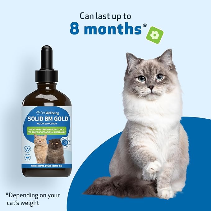 Pet Wellbeing BM Tone-Up Gold for Dogs &amp; Cats - Supports Healthy Digestive Function, Solid Stools, Normal Bowel Movements, Bayberry - Veterinarian-Formulated Herbal Supplement 4 oz (118 ml)