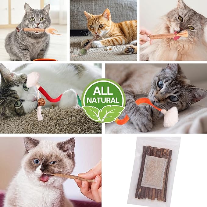 Cat Toys Cat Chew Toys, Silvervine Sticks Catnip Rope Toys for Cats Teeth Cleaning, Kitten Dental Care, Kitty for Indoor Cats Increase Appetite,Enhances Oral &amp; Dental Health (21 Pack)
