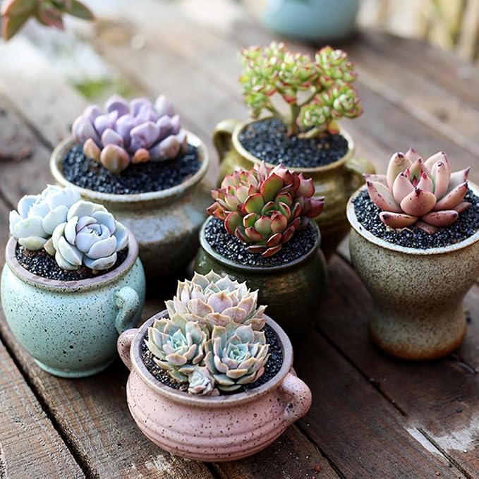 TOYPOPOR 6lb Succulents and Cactus Black Sand, Décor &amp; Additive Tiny Stones, DIY Rocks Gravel, Decorative Pebbles for Bonsai, Fairy Gardening, Terrarium, Vases Fillers, Top Dressing
