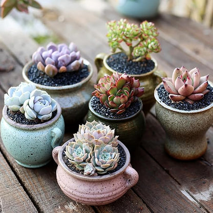 TOYPOPOR 6lb Succulents and Cactus Black Sand, Décor &amp; Additive Tiny Stones, DIY Rocks Gravel, Decorative Pebbles for Bonsai, Fairy Gardening, Terrarium, Vases Fillers, Top Dressing