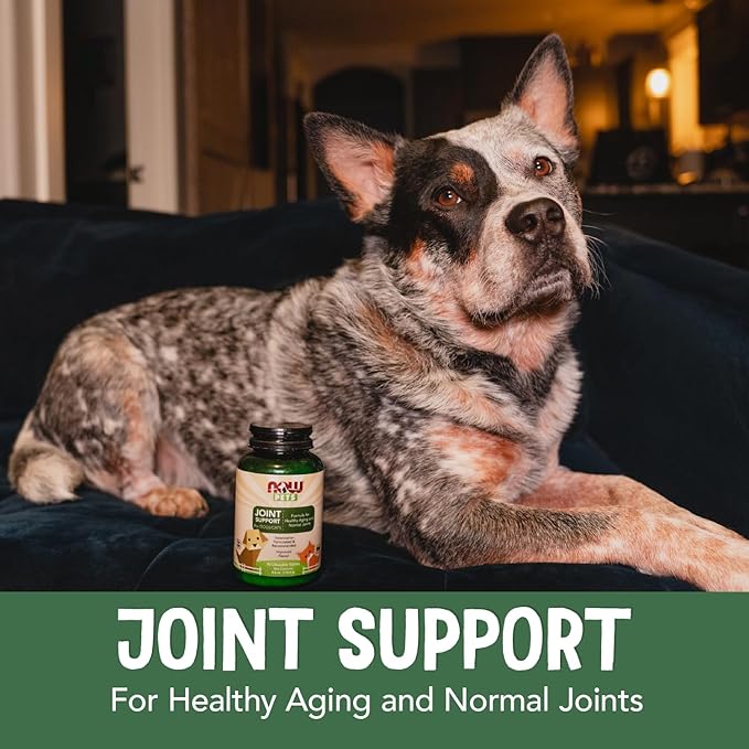 NOW Pet Health, Joint Support Supplement, Formulated for Cats &amp; Dogs, NASC Certified, 90 Chewable Tablets