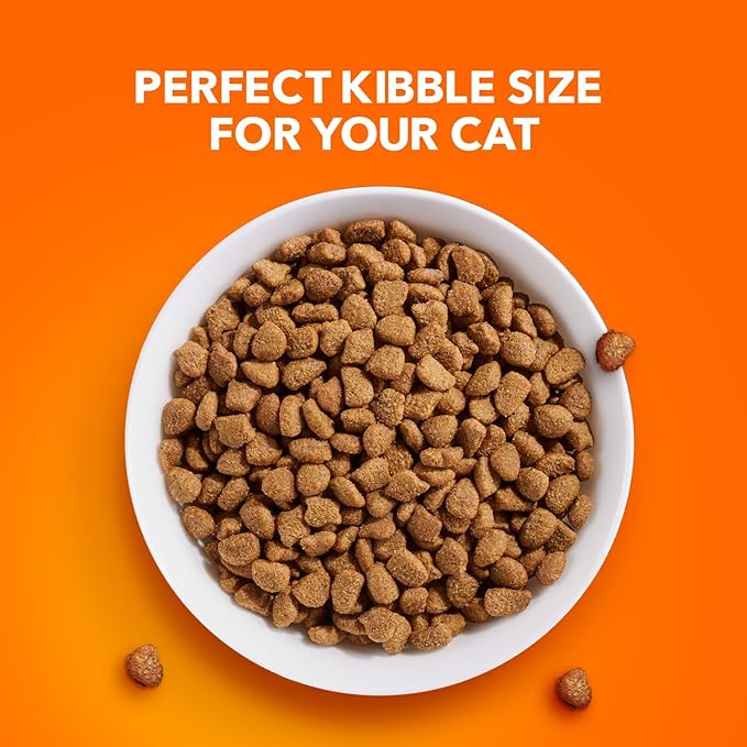 IAMS Proactive Health Indoor Weight Control &amp; Hairball Care Adult Dry Cat Food, Chicken &amp; Turkey Recipe, 16 lb. Bag