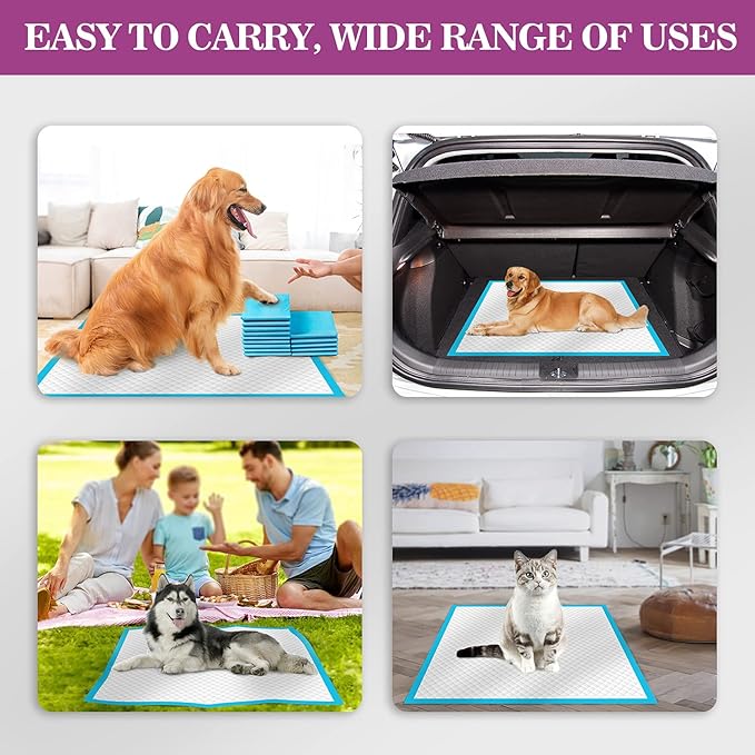 IMMCUTE Large Dog Pee Pads 28"x30"-50 Count | Large Puppy Pee Training Pads Super Absorbent &amp; Leak-Proof | Disposable Pet Piddle and Potty Pads for Puppies | Dogs | Doggie