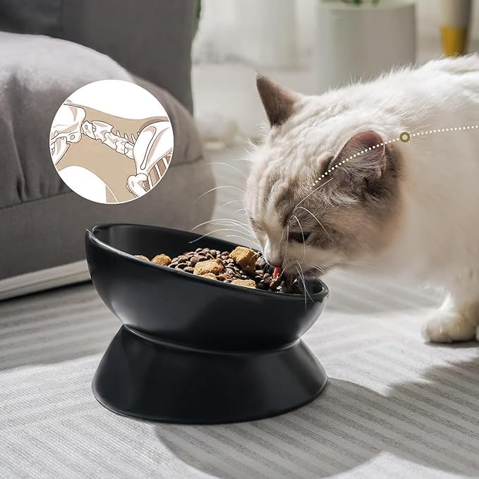 YINGFAN Elevated Cat Bowls, 5oz Ceramic Raised Cat Bowl for Cats/Kittens with Tilted Design, Porcelain Cats Feeding Dishes for Food/Water, Anti Vomit, Microwave &amp; Dishwasher Safe (Black)