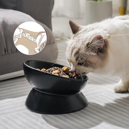 YINGFAN Elevated Cat Bowls, 5oz Ceramic Raised Cat Bowl for Cats/Kittens with Tilted Design, Porcelain Cats Feeding Dishes for Food/Water, Anti Vomit, Microwave &amp; Dishwasher Safe (Black)