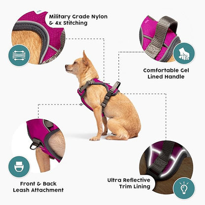 Embark Adventure Dog Harness, Reflective Trim XL Dog Harness for Extra Large Dogs No Pull - Military Grade Nylon, 2 Leash Clips &amp; Gel Lined Handle.