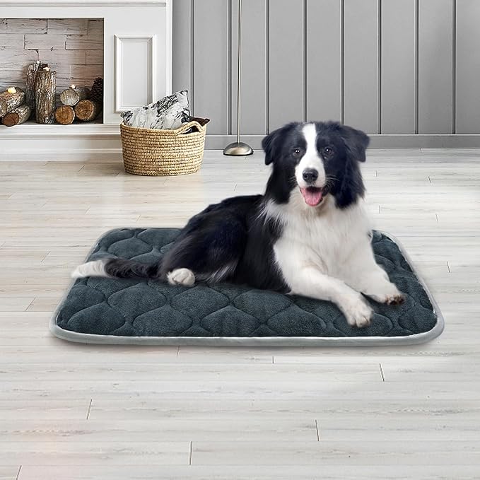 furrybaby Dog Bed Mat Flat Crate Mat with Anti-Slip Bottom Machine Washable Pet Kennel Pad for Dog Sleeping (M 30x19&