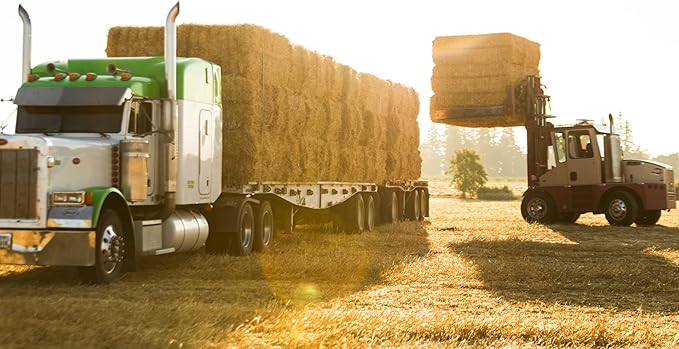 Blue Mountain Hay High-Altitude Hay - Organic Alfalfa, 5lb - High Protein, Fiber &amp; Mineral-Rich - Soft, Leafy, High Leaf Retention - Ideal for Goats, Rabbits, Guinea Pigs &amp; Other Small Animals
