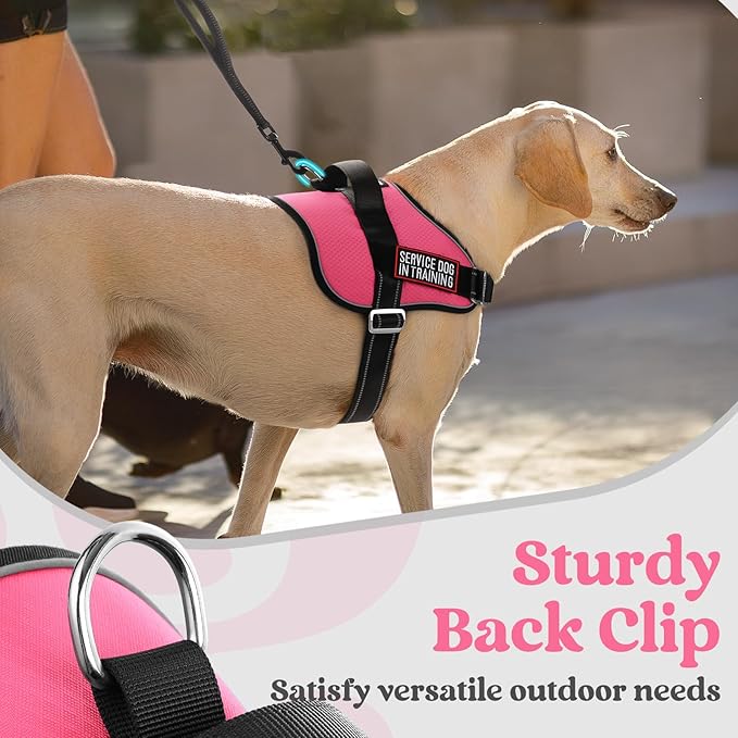 rabbitgoo Dog Harness for Large, Easy On Pet Vest with One Buckle, No Pull Adjustable Service Harness with D-Ring &amp; Handle, Reflective for Safety Walking, Training, Pink, XL