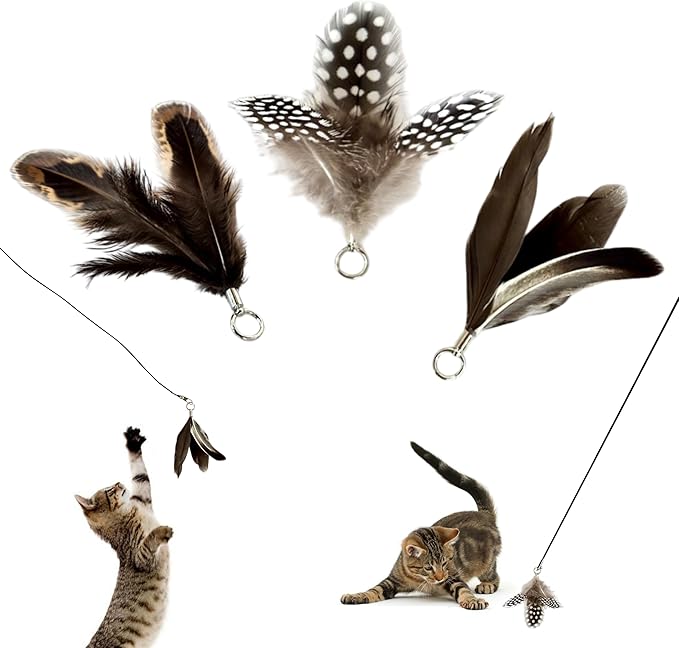 Feather Toys Replacements (3 Pc) - Cat Toys &amp; Kitten Toys for Indoor Kittens, Set of Replacement Feather Attachments Extra Small and Durable, for Cat Wands, Natural and Safe
