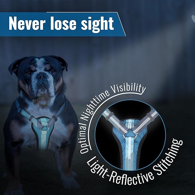 No-Pull Dog Harness with Handle - Escape Proof, Anti-Pulling, Grip Control, Multi-Angle Reflective for Safe Walks &amp; Training, Easy On &amp; Off, Metal Buckle–Pet Harness, Medium/Large Dogs- N H4- Blue