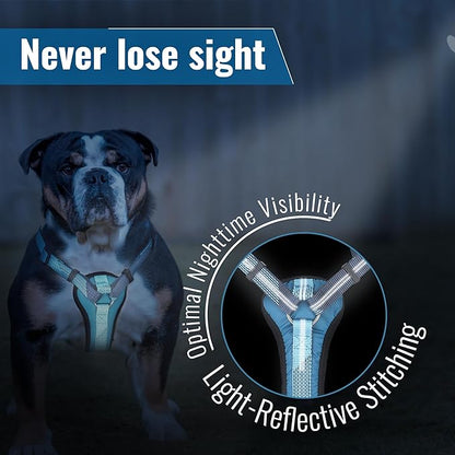 No-Pull Dog Harness with Handle - Escape Proof, Anti-Pulling, Grip Control, Multi-Angle Reflective for Safe Walks &amp; Training, Easy On &amp; Off, Metal Buckle–Pet Harness, Medium/Large Dogs- N H4- Blue