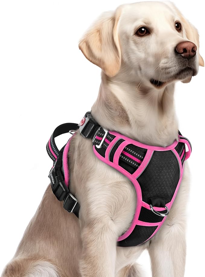 rabbitgoo Dog Harness for Large Dogs, No Pull Pet Vest with 3 Buckles, Adjustable Soft Padded Pet Harness with Easy Control Handle and Reflective Strips, Black &amp; Rose Pink, L