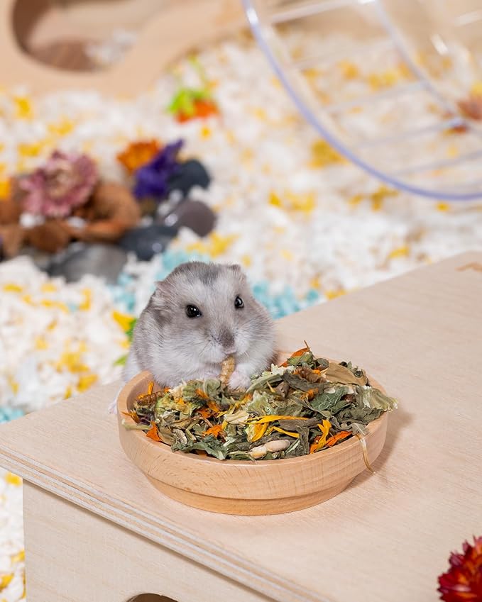 Niteangel Hamster Food &amp; Treats Toy - Small Animal Natural Food for Syrian Golden Dwarf Robo Hamsters or Other Small-Sized Pets
