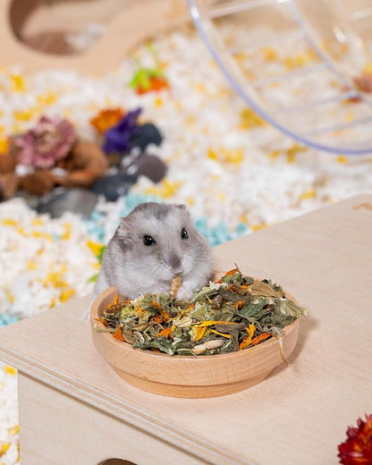 Niteangel Hamster Food &amp; Treats Toy - Small Animal Natural Food for Syrian Golden Dwarf Robo Hamsters or Other Small-Sized Pets