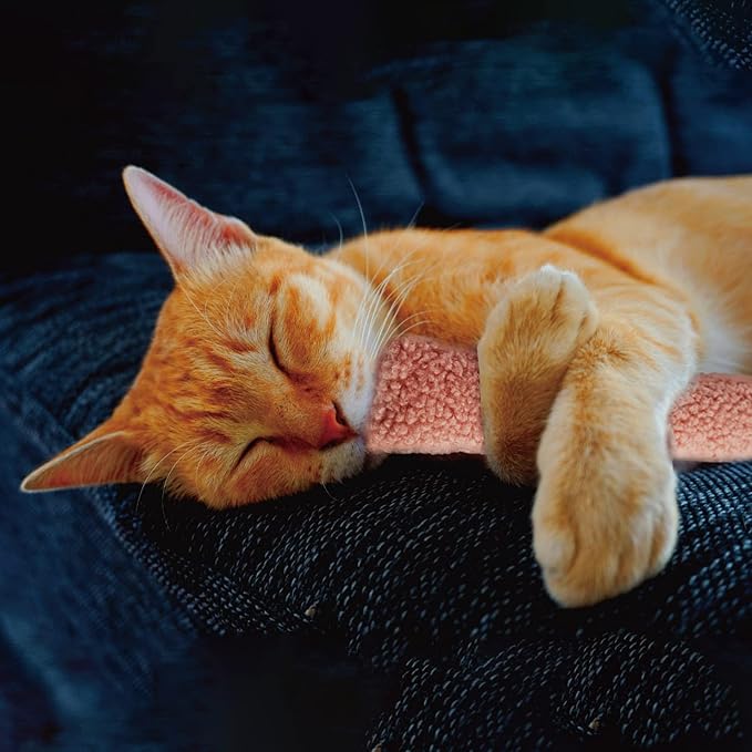2 Pack Natural Interactive Catnip &amp; Silvervine Cat Kicker with Tail, Bite Resistant Chew Toy, Crinkle Kicker, Accessories for Indoor Cat, Sherpa Material