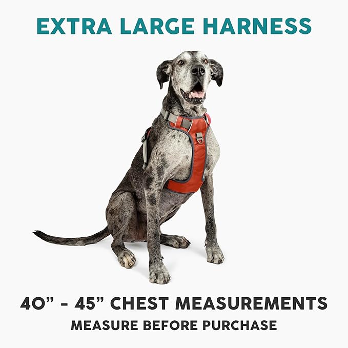 Embark Adventure Dog Harness, Reflective Trim XL Dog Harness for Extra Large Dogs No Pull - Military Grade Nylon, 2 Leash Clips &amp; Gel Lined Handle.
