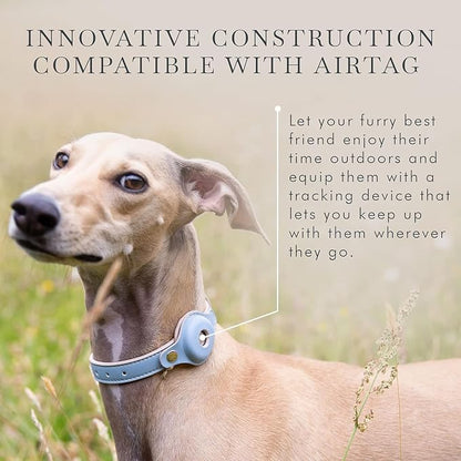 Cupertino Dog Collars, Harnesses &amp; Leashes Made from Vegan Leather with Dog Tracker Device Holder Adjustable Dog Collar - Color Blue, Large