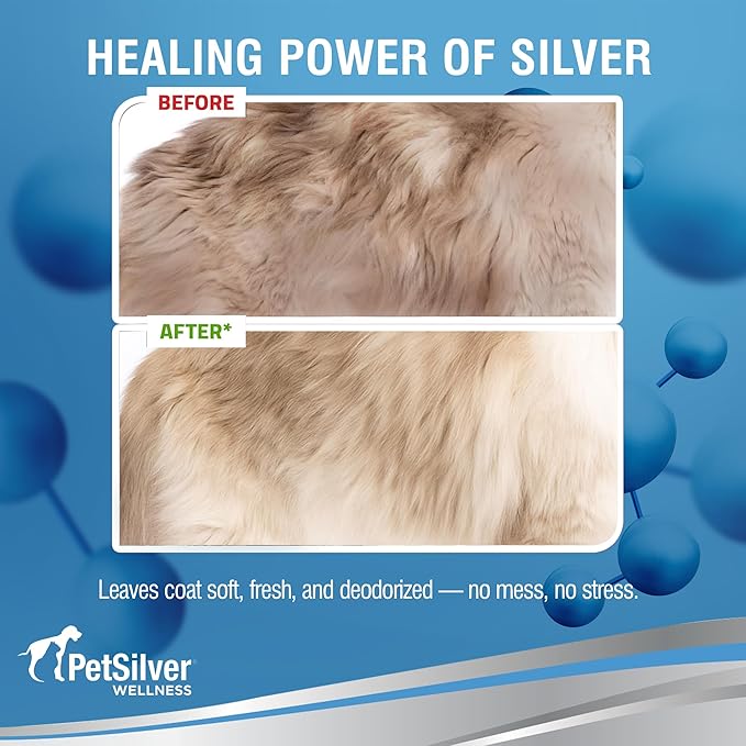 PetSilver Waterless Cat Shampoo - No Rinse Bath &amp; Dry Shampoo for Cats - Long-Haired &amp; Sensitive Skin - Cleans, Conditions &amp; Moisturizes - Hypoallergenic &amp; Fragrance-Free - Patented Formula - 5 fl oz