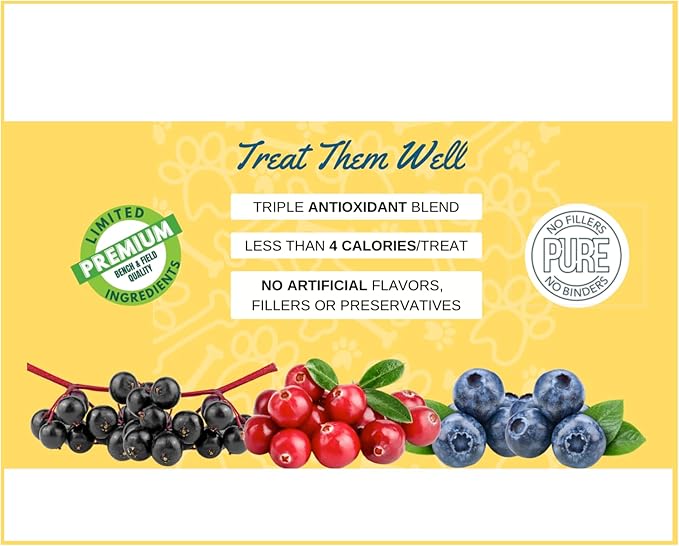 Bench &amp; Field Holistic Natural Turkey &amp; Triple Berry Dog Treats | Crunchy Bone-Shaped Bites | Antioxidant Blend, 10-Ounce Bottle