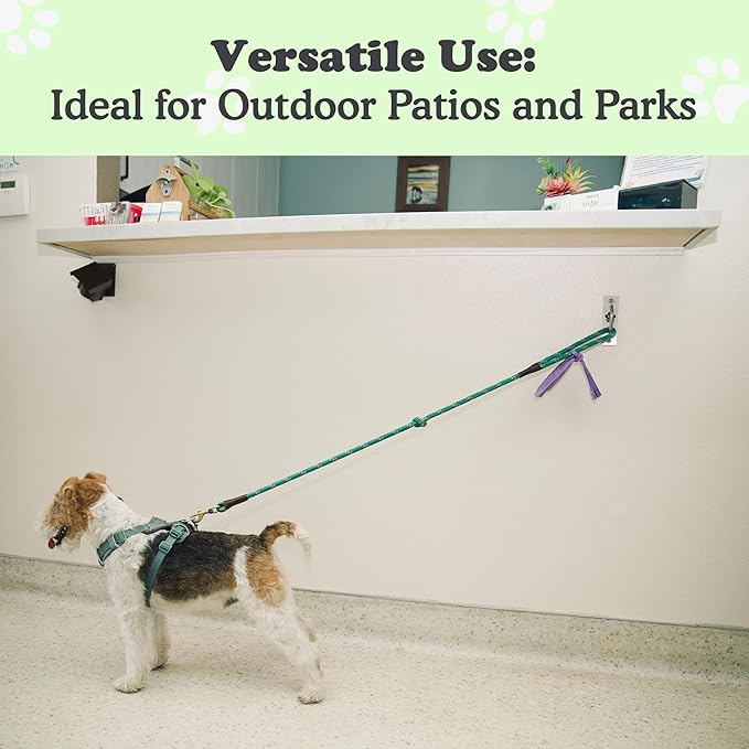 Canine Hitch- Secure Dog Leash Parking Indoor- Outdoor Wall Hook with Clip - Tie Out Stainless Steel - Practical Lead Management for Home &amp; Business