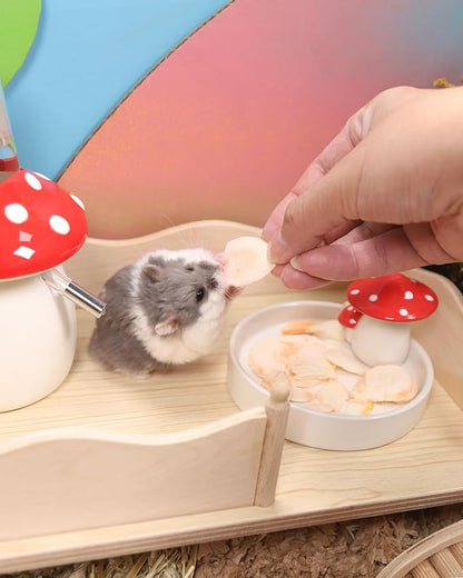 Niteangel Hamster Snack &amp; Treats Toy - Small Animal Natural Treat for Dwarf Syrian Robo Hamsters Gerbils Mice Lemmings Degus or Other Small-Sized Pets