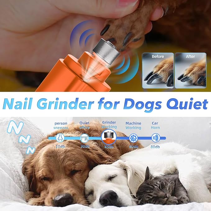 2 in 1 Dog Nail Clippers and Grinder with Lights &amp; Cat Nail Clipper for Large Medium Small Dogs Cats Nail Trimmers USB Rechargeable with 2 LED Lights Dog Claw Care for Non-Black Nails