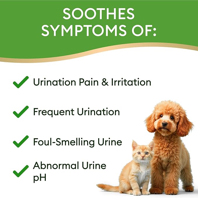 Dog UTI Treatment &amp; Cat Urinary Tract Infection Treatment, Natural Herbal Liquid UTI Medicine, Organically Grown Cranberry Extract, Supports Urinary and Digestive Health, 2 fl oz, Made in USA