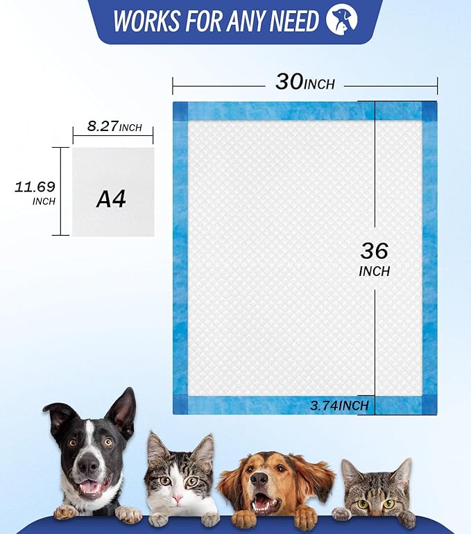 100 Counts XL Puppy Pee Pads 30x36 Inch | Super Absorbent Leak-Proof Dog Training Pads with Odor Control | Quick-Dry Potty Pads for Dogs &amp; Cats