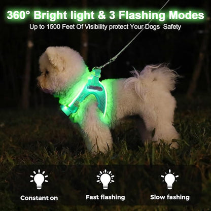 Light Up Dog Harness,Rechargeable LED Dog Harness for Small Medium Large Dogs,Reflective Lighted Safety Vest for Night Walking &amp; Camping,Lightweight &amp; Adjustable,Light Green,L