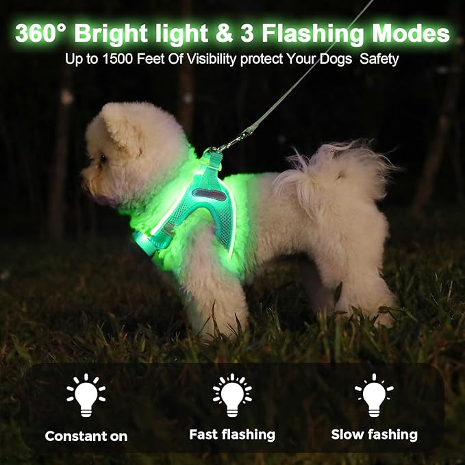 Light Up Dog Harness,Rechargeable LED Dog Harness for Small Medium Large Dogs,Reflective Lighted Safety Vest for Night Walking &amp; Camping,Lightweight &amp; Adjustable,Light Green,M