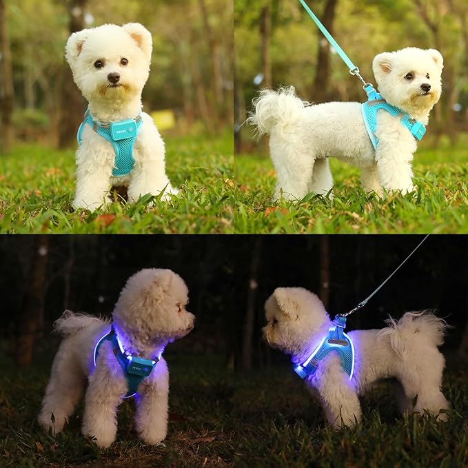 Light Up Dog Harness,Rechargeable LED Dog Harness for Small Medium Large Dogs,Reflective Lighted Safety Vest for Night Walking &amp; Camping,Lightweight &amp; Adjustable,Blue,M