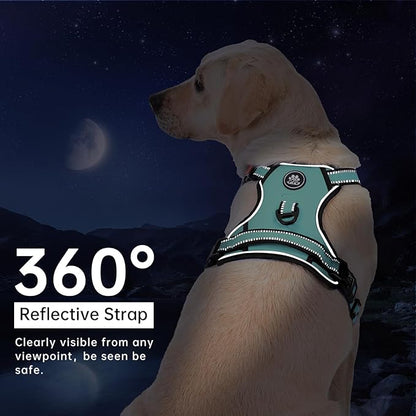 IVY&amp;LANE No Pull Dog Harness with Leash Set, Reflective No Choke Pet Vest,Adjustable Oxford Dog Vest Harness with Easy Control Handle for Large Dogs (Turquoise,XL)