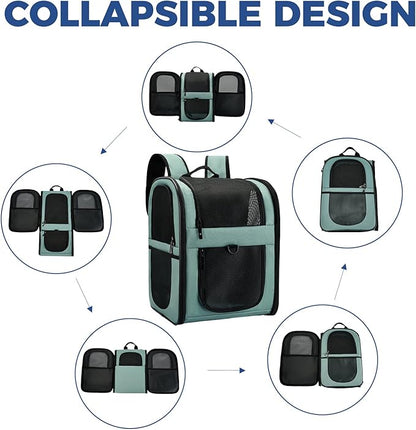 Apollo Walker Dog &amp; Cat Carrier Backpack for 4-15lb Pets - Ventilated Safe Design with Padded Back Support, Breathable Mesh Pet Backpack for Hiking, Travel, Outdoor (Blue)