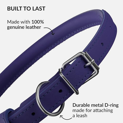CollarDirect Rolled Leather Dog Collar, Soft Padded Round Puppy Collar, Handmade Genuine Leather Collar Dog Small Large Cat Collars 13 Colors (18-22 Inch, Purple Smooth)