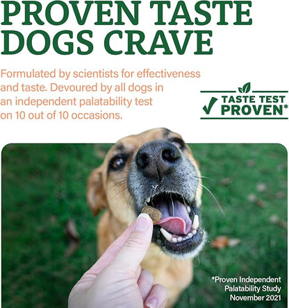 Doggie Dailies Senior Essentials Multivitamin for Dogs Soft Chews | Advanced Dog Multivitamin | Nutritional Support for Joints, Skin &amp; Coat, Digestion, and the Immune System | Bacon Flavor | 120 Count