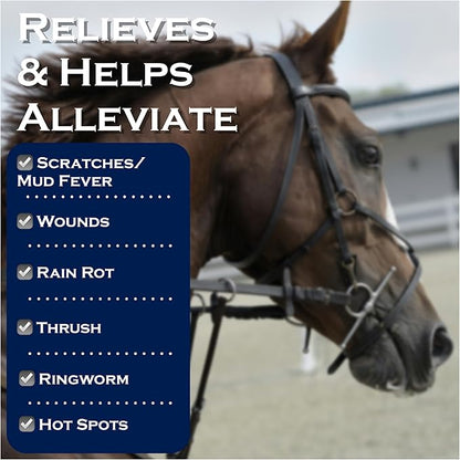 Show Out Skin &amp; Scratches 4 oz Concentrate - Fast Relief and Prevention for Horse Care. Use on Equine Scratches/Mud Fever, Girth Itch, Mange, Thrush, Rain Rot, Ringworm, etc w/Empty Spray Bottle