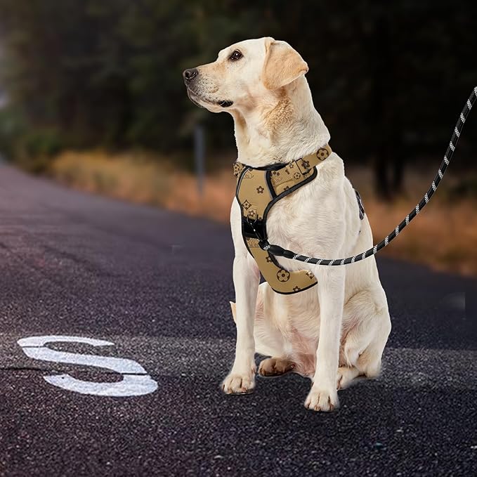 IVY&amp;LANE No Pull Dog Harness with Leash Set, Reflective No Choke Pet Vest,Adjustable Oxford Dog Vest Harness with Easy Control Handle for Large Dogs (Light Brown,XL)