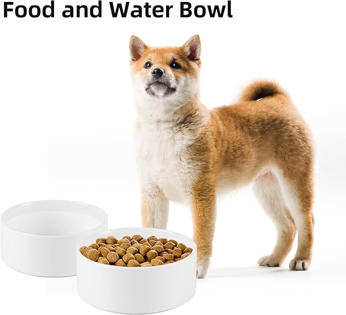 Ceramic 6.1inch Non-Slip Dog Food and Water Bowl for Small &amp; Medium Breed Dogs,Pet Bowl for Replacement, Protects Cervical Spine (White)