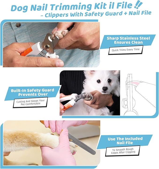 Pet Steam Brush for Dog &amp; Cat – 3-in-1 Spray Hair Removal Comb for Shedding &amp; Grooming Shedding Glove, Flea Comb, Couch Carpet Hair Removal Tool, Nail Toenail Clippers Nail File Shampoo-8PCS