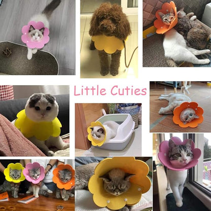 Cute Flower Recovery Collar - Adjustable M Size (2pcs), After Surgery Elizabethan Collar for Kittens, Cats, Puppies &amp; Rabbits