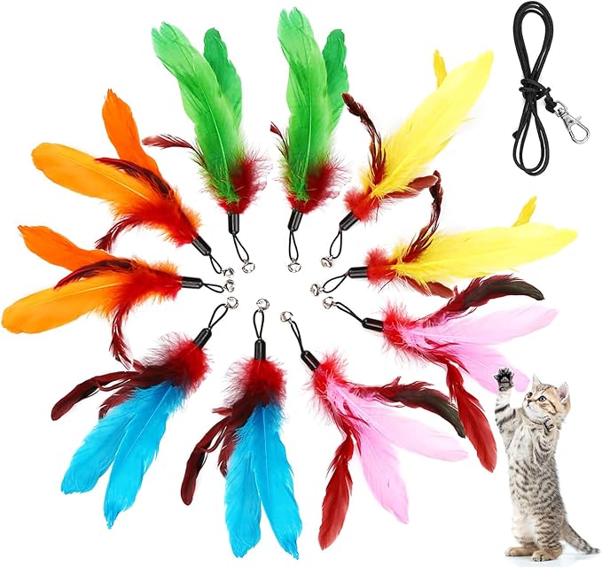 11PCS Cat Feather Toys Refills, 10PCS Feathers and 1PC String, Interactive Cat Wand Toy Replacement for Bored Indoor Adult Cats &amp; Kittens