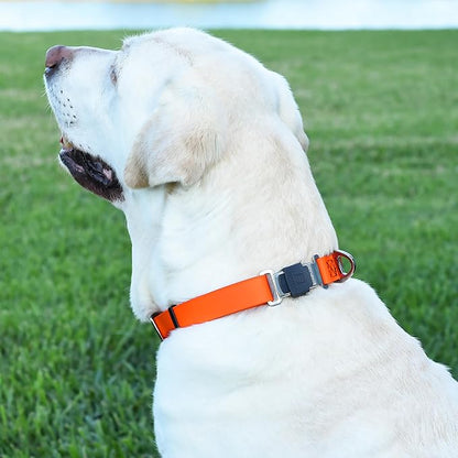 Dogline Biothane Waterproof Dog Collar with Herm Sprenger Black Stainless Steel Quick Release Buckle – Heavy Duty Tactical Durable Collar for Dogs – Comfortable and Safe Pet Collar, W 3/4" L 12-19"