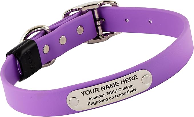 Biothane Custom Dog Collar – Waterproof, Stink-Proof Personalized Collar with Name &amp; Phone Number – Durable, Many Sizes and Colors – Assembled in USA (Amethyst Purple)