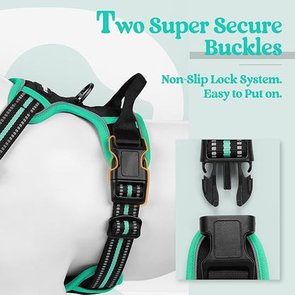 rabbitgoo Dog Harness No Pull with 2 Leash Clips, Adjustable Soft Padded, Reflective Oxford No Choke Pet Vest with Easy Control Handle for Large Dogs, Black &amp; Turquoise, L