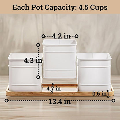 Herb Planter Indoor - 3 Iron Herb Pots with Drainage Holes, Varnished Bamboo Tray, Customizable Labels &amp; Marker Pen - Indoor Herb Garden Planter - 3 Pots for Herbs - Inside Spice Garden - Basil Pot