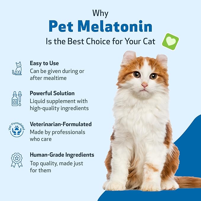 Pet Wellbeing Pet Melatonin for Cats - Supports Adrenal &amp; Thyroid Health, Cortisol Balance, Helps Maintain Normal Sleep Patterns - Veterinarian-Formulated Liquid Supplement 2 fl oz (59 ml)